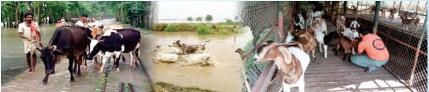 बाढ़ /आपदा के कारण पशु मृत्यु सहायता अनुदान योजना 2021